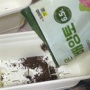브니엘 | [식물] 바늘꽃모종, 분홍빛 화단 꾸미기🌸 브니엘꽃농원 후기
