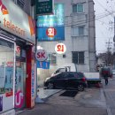 태평양산오징어