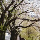 선암골생태유람길 이미지