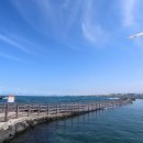 제주하늘바람 이미지