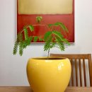 목감수한의원 이미지