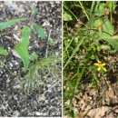 삼화119안전센터 이미지