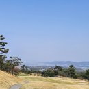 금호타이어 서분당IC점 | 봄에 여기 안 가면 손해🌸 이천 비에이비스타 CC 벚꽃 라운드 후기 (코스·잔디·난이도 총정리)