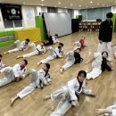 강일태권도 이미지