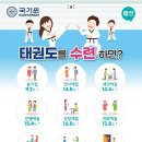 용인대 탑 태권도 이미지