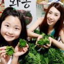 웰빙빅마켓 - 관악구 양녕로 49 | 웰빙빅마켓