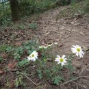 진도공설운동장 이미지