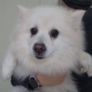 항호1길 이미지