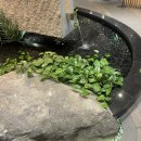 식당3선 용호점 이미지