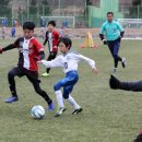 백호축구&스포츠 연합뉴스