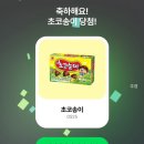 이승하 | 지독한 회피형의 제주도 생활 마지막 (4-4)