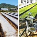 장기농협협동조합 티스토리