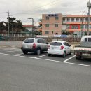 공설운동장(영암종합스포츠타운) | 영암 공설 운동장 주차·위치·이용방법 한 번에 정리