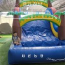 샤론농장 | [경기 하남] 샤론농장