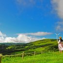 파란하늘목장 이미지
