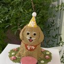 칸타삐야 이미지