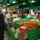 (주)힐링코리아 이미지