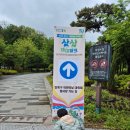 어린이날 북서울꿈의 숲 후기 : 천원 자유이용권으로 꿀 잼 풀코스!