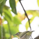 현대산업아파트 이미지