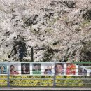 진관동 주민센터 이미지