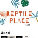 카페보스강릉 이미지