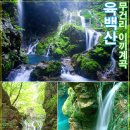 LG베스트샵 앞 횡단보도 이미지