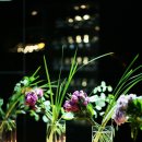 더하우스 이미지