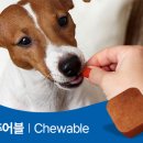 새빛약국 이미지