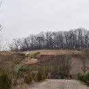 이경희 선생묘 이미지