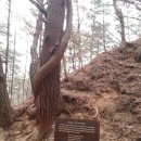 장안리 소교량 19 | 8, 둘레길 1구간 - 2014/03/04