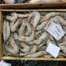 삼면이바다 since1991 네이버블로그