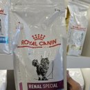 주동물병원 이미지