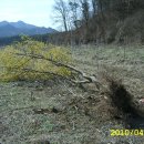 요정농장 이미지