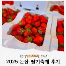 논산유치원 | 2025 논산딸기축제 다녀왔어요! 생생후기 전해드립니다.