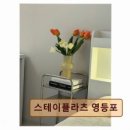 스테이플라츠 이미지