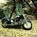 털랭이 매운탕 이미지