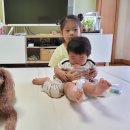 말티와푸들이사는집 이미지