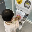 서울효앤주니어치과의원 | 서울효앤주니어치과 5세크라운