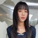 데이민 이미지