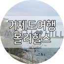 몰리힐스(MOLLI HILLS) | 거제도 가볼 만한 곳 - 매미성 근처 대형 카페 &#34;몰리힐스(MOLLI HILLS)&#34;