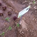 내곡동279 이미지