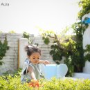 바이벨라 이미지