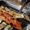 생생장어 이미지