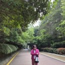 숲길 걷기 동아리 활동 | 《부산 핫플》 해운대 데이트코스 동백공원~! 오션뷰 산책과 APEC하우스 힐링 여행^*^