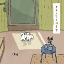 루아공방