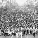 평화로운세상