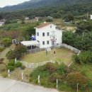 컴투펫 | 따뜻한 가족을 기다리는 닥스훈트, 무료 분양 정보와 컴투펫케어센터 후기