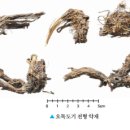 진교