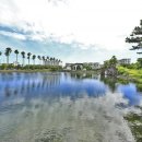 호텔라온제주 이미지