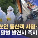 벌에 쏘인 등산객 숨져.. 여름 번식기 ‘비상’ (2025.07.23/뉴스데스크/춘천MBC) 이미지